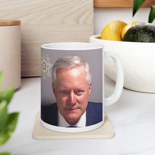Mark Meadows Fulton County Jail Mug Shot Mug