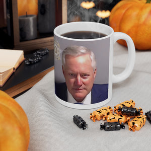 Mark Meadows Fulton County Jail Mug Shot Mug
