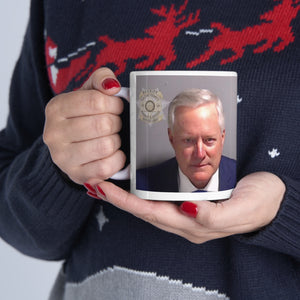 Mark Meadows Fulton County Jail Mug Shot Mug