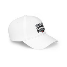 Load image into Gallery viewer, Amman Pickleball Low Profile Baseball Cap